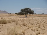 Namibia Hochzeit, Reise, Bilder, Fotos - img_1902.jpg